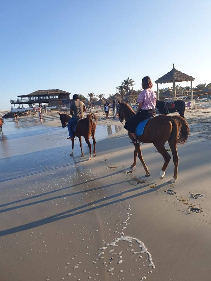 image témoin equitation