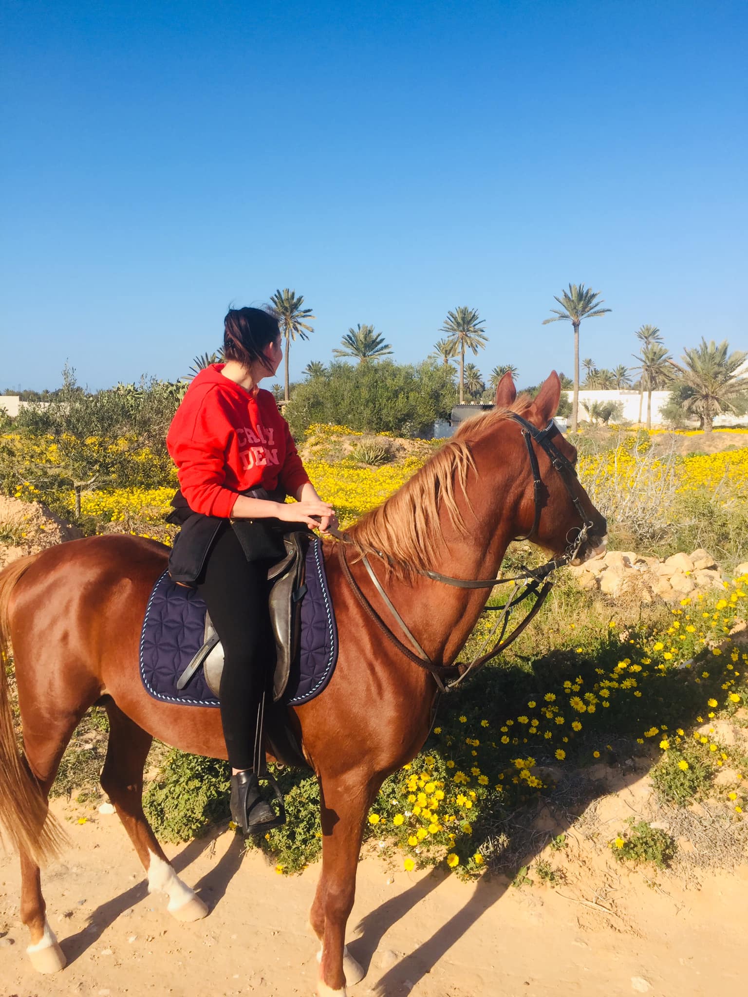 image témoin equitation