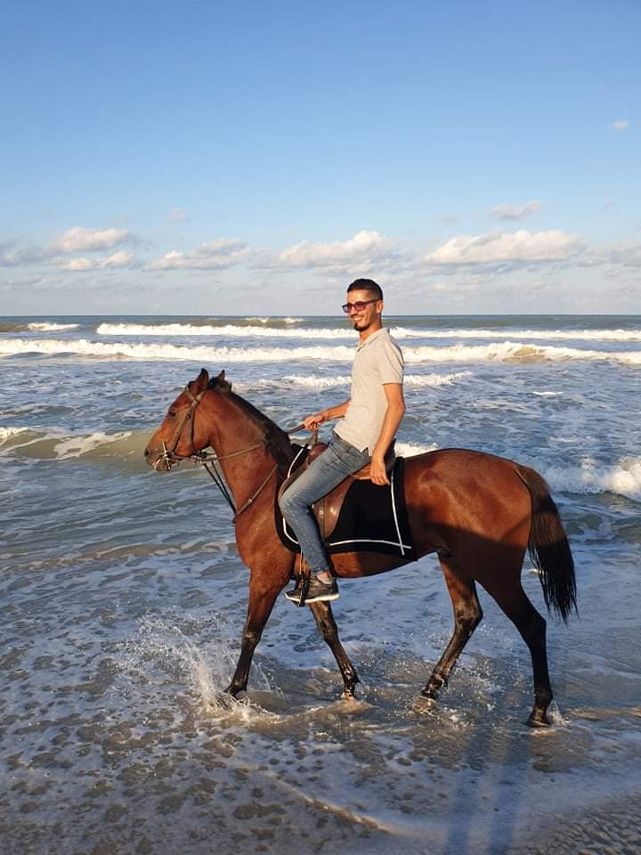 image témoin equitation