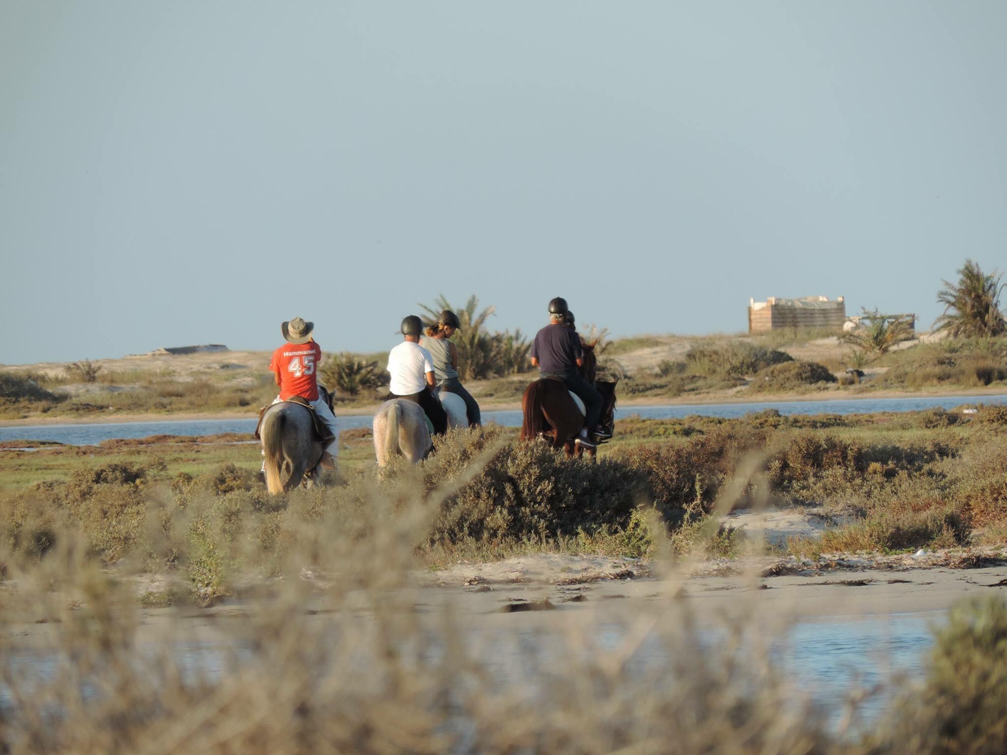 image témoin equitation
