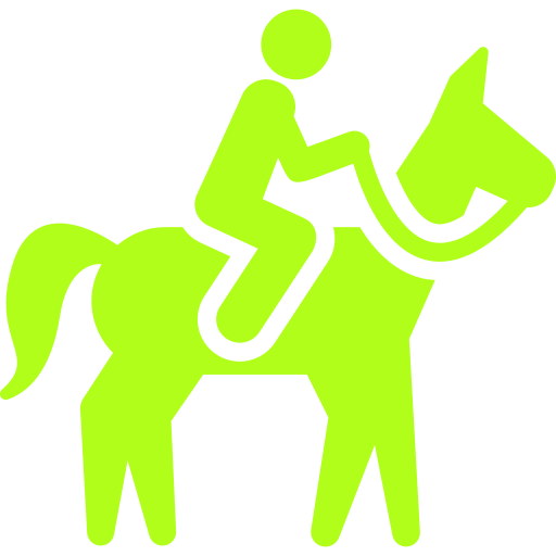 horse riding icon
